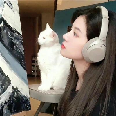 黑艳凤